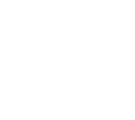 Viking US Automatic Apollo Eagle